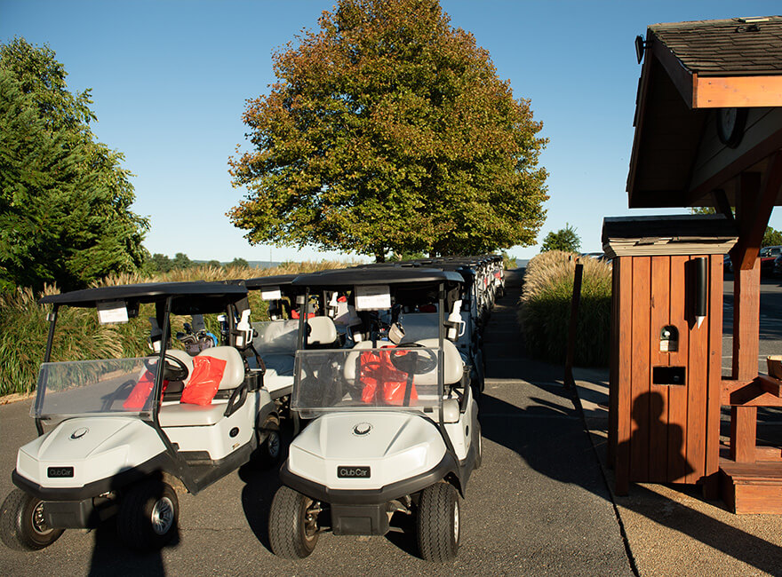 Golf Carts With Goodie Bags